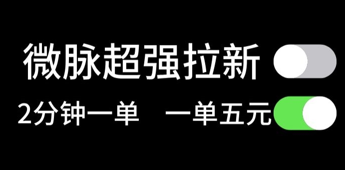 微脉无脑拉新，每单5块钱，轻松日入三位数-副业库