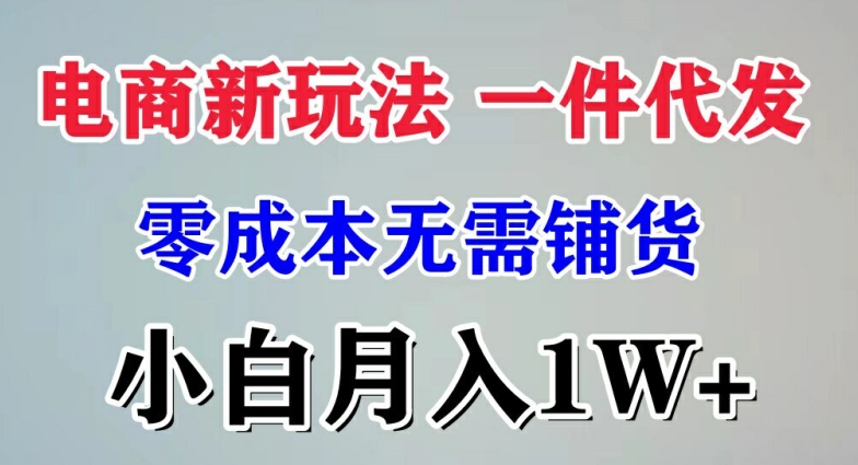 电商新玩法 一件代发,零成本无需铺货，小白月入1W+-副业库