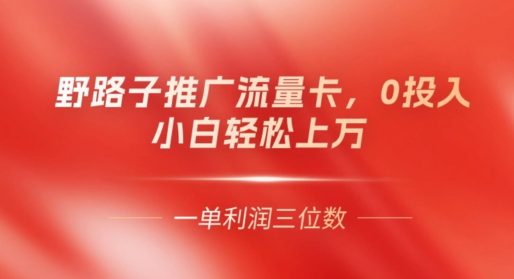 野路子推广流量卡，一单利润上百，0投入，小白轻松上万-副业库