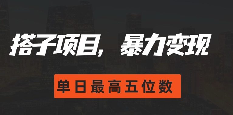 搭子项目，暴力变现，单日最高破五位数-副业库