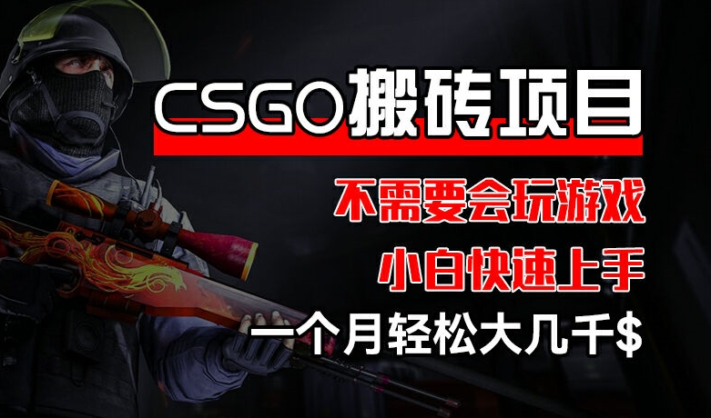 CSGO 装备搬砖项目，操作简单，不需要会玩游戏，小白也能快速上手，一个月轻松大几千【揭秘】-副业库