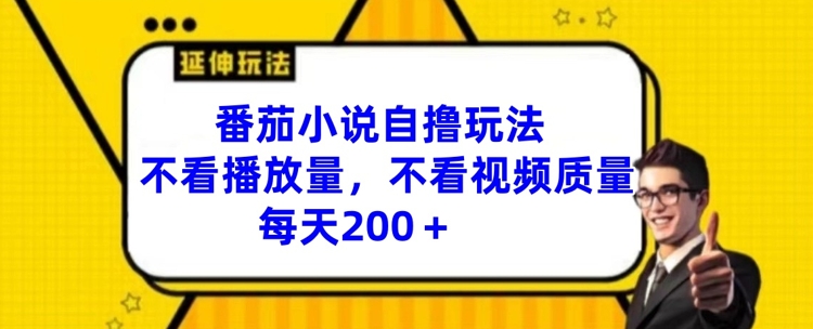 番茄小说自撸玩法，不看播放量，不看视频质量，每天200+【揭秘】-副业库