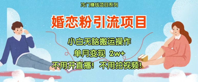 小红书婚恋粉引流，不用开直播，不用拍视频，不用做交付【揭秘】-副业库