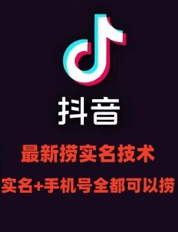 最新技术抖音捞实名+捞手机号技术，抖音直播封禁释放十名/手机号，直接替换出来!-副业库