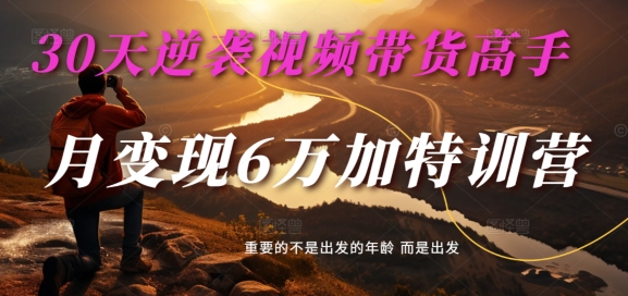 30天逆袭视频带货高手，单月变现6万加特训营-麦子甜-副业库