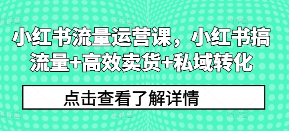 小红书流量运营课，小红书搞流量+高效卖货+私域转化-副业库
