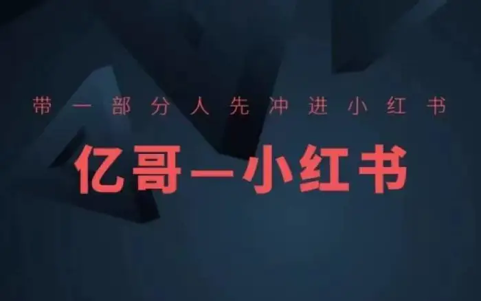 ​​带一部分人先冲进小红书，小红书开店、选品、爆款裂变-副业库