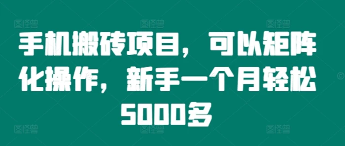 手机搬砖项目，可以矩阵化操作，新手一个月轻松5000多-副业库