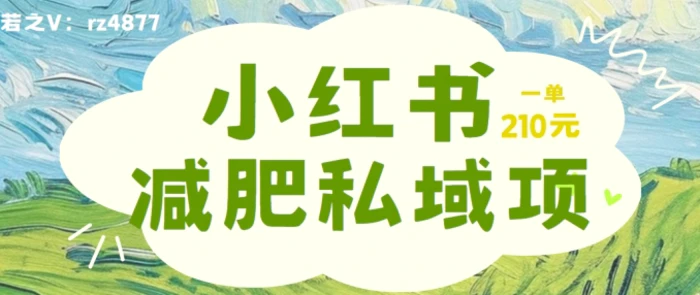 小红书减肥粉，私域变现项目，一单就达210元，小白也能轻松上手【揭秘】-副业库