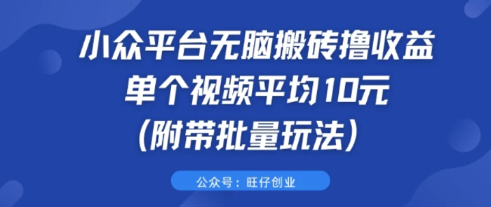 小众平台无脑搬砖撸收益 单个视频平均10元 (附带批量玩法)-副业库