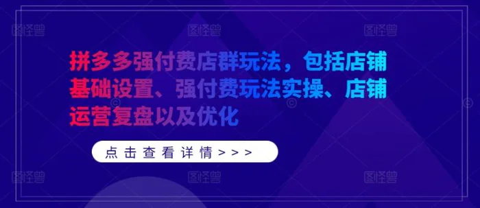 拼多多强付费店群玩法，包括店铺基础设置、强付费玩法实操、店铺运营复盘以及优化-副业库