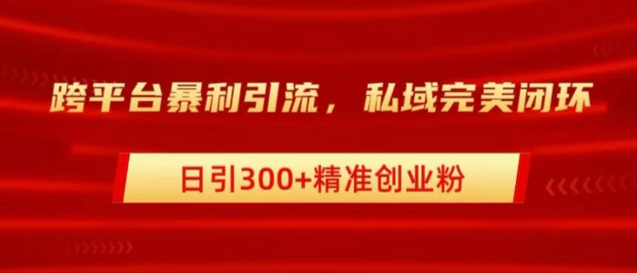 跨平台暴力引流，私域完美闭环，日引100+精准创业粉-副业库