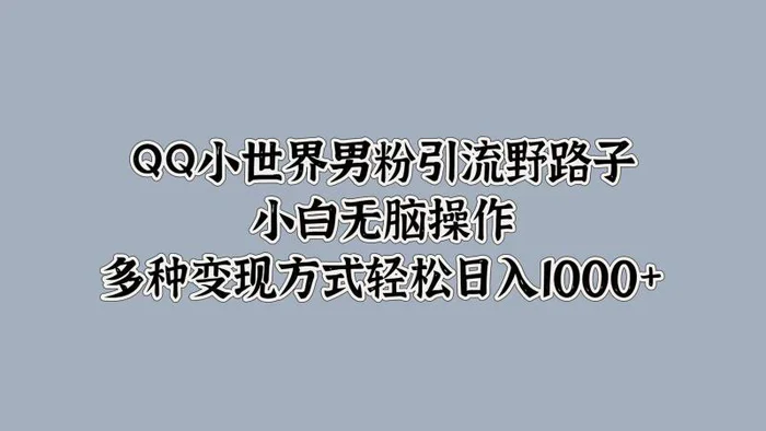 QQ小世界男粉引流野路子，小白无脑操作，多种变现方式-副业库