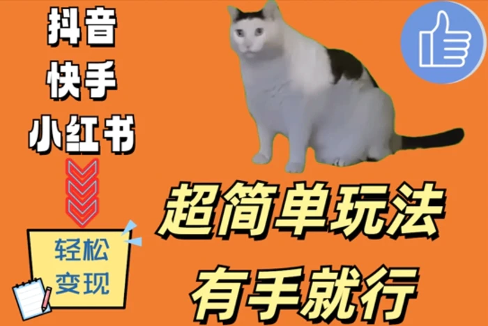 超简单玩法，有手就行，靠猫咪视频日入500+-副业库