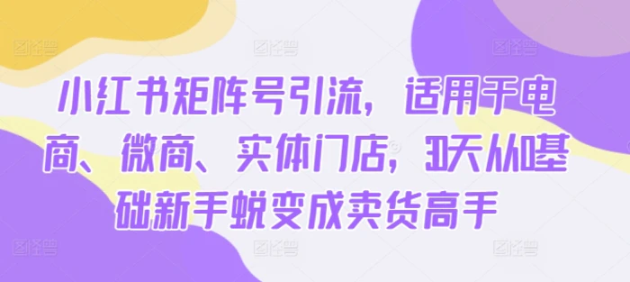 小红书矩阵号引流，适用于电商、微商、实体门店，30天从0基础新手蜕变成卖货高手-副业库