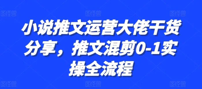 小说推文运营大佬干货分享，推文混剪0-1实操全流程-副业库