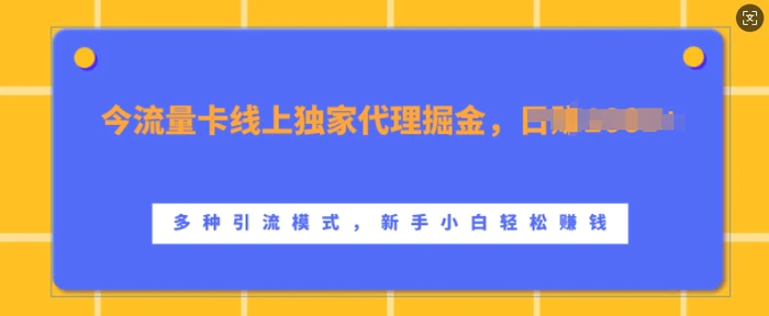 流量卡线上独家代理掘金，日入1k+ ，多种引流模式，新手小白轻松上手【揭秘】-副业库