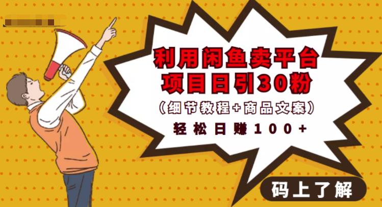 利用闲鱼卖平台项目课程资源日引流30+精准粉丝，轻松日赚100+，积累人脉可实现二次变-副业库
