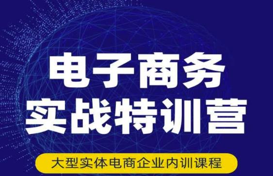 民赛电气内部出品：电子商务实战特训营，全方位带你入门电商，308种方式玩转电商-副业库