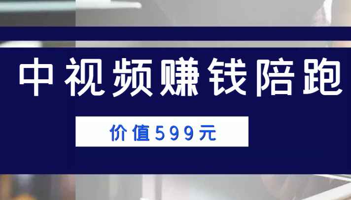 中视频赚钱陪跑，卖中视频账户赚钱收益陪跑项目（价值599元）-副业库
