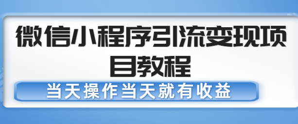 微信小程序引流变现项目教程，当天操作当天就有收益，变现不再是难事-副业库