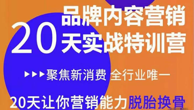 《内容营销实操特训营》20天让你营销能力脱胎换骨（价值3999）-副业库