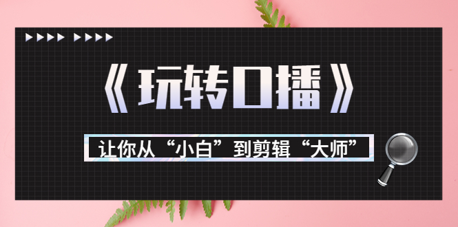 月营业额700万+大佬教您《玩转口播》让你从“小白”到剪辑“大师”-副业库