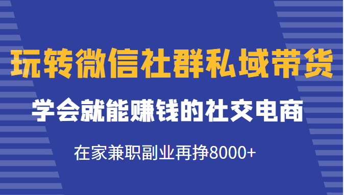 玩转微信社群私域带货，学会就能赚钱的社交电商，在家兼职副业再挣8000+-副业库