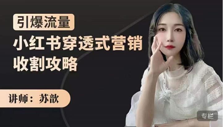 苏歆：小红书穿透式营销收割攻略，引爆流量，助你玩转小红书-副业库