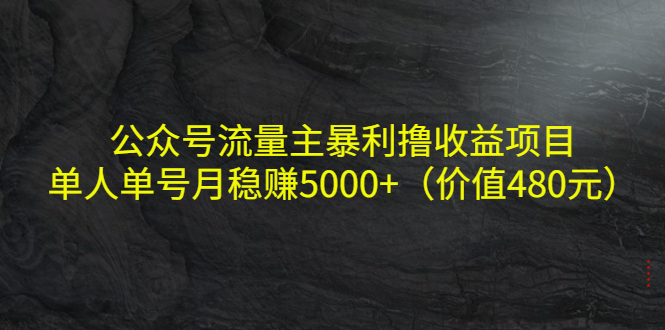 公众号流量主暴利撸收益项目，单人单号月稳赚5000+（价值480元）-副业库