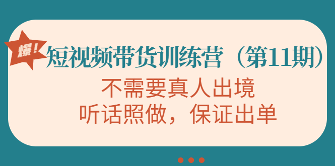 视频带货训练营，不需要真人出境，听话照做，保证出单（第11期）-副业库
