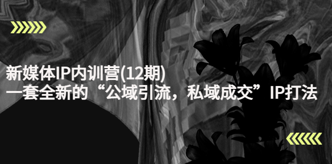 新媒体IP内训营(12期)，一套全新的“公域引流，私域成交”IP打法，直接带走-副业库