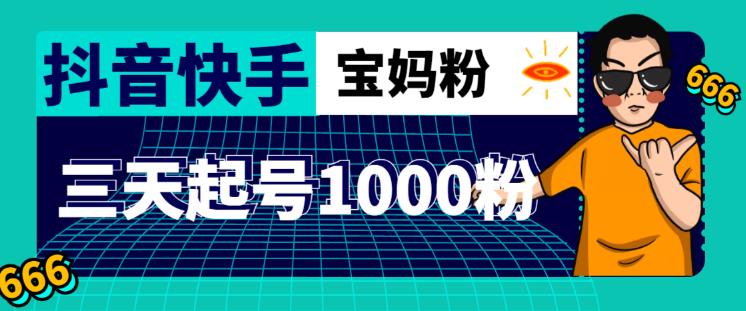 抖音快手三天起号涨粉1000宝妈粉丝的核心方法【详细玩法教程】-副业库