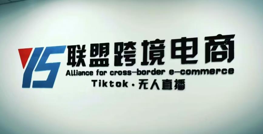YS联盟·Tiktok无人直播，不出镜不剪辑不拍摄不发货无售后的跨境短视频躺赚玩法-副业库