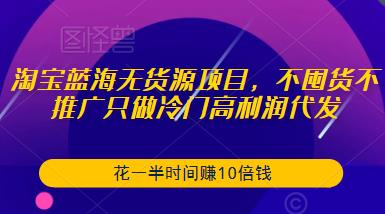 淘宝蓝海无货源项目，不囤货不推广只做冷门高利润代发，花一半时间赚10倍钱-副业库