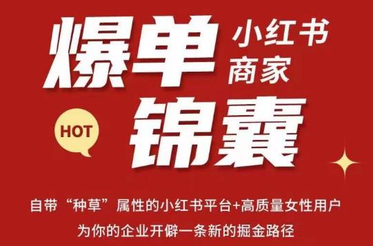 无畏·小红书商家爆单锦囊，掌握小红书各大规则，快速精准抢占行业和市场-副业库