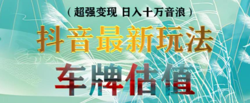 抖音最新无人直播变现直播车牌估值玩法项目，轻松日赚几百+【详细玩法教程】-副业库