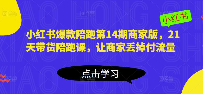 小红书爆款陪跑第14期商家版，21天带货陪跑课，让商家丢掉付流量-副业库