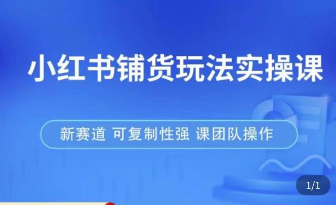 小红书铺货玩法实操课，流量大，竞争小，非常好做，新赛道，可复制性强，可团队操作-副业库