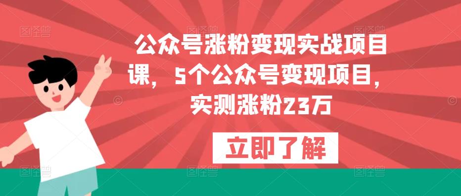 公众号涨粉变现实战项目课，5个公众号变现项目，实测涨粉23万-副业库