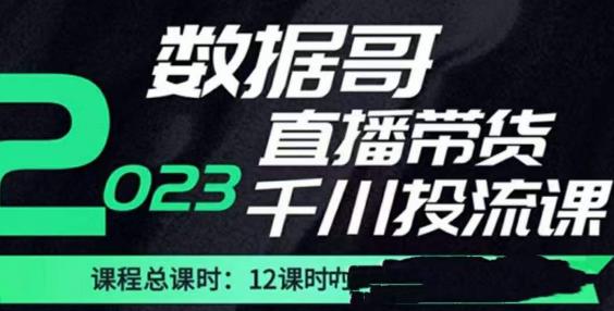 数据哥2023直播电商巨量千川付费投流实操课，快速掌握直播带货运营投放策略-副业库