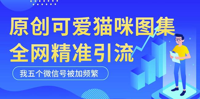 黑科技纯原创可爱猫咪图片，全网精准引流，实操5个VX号被加频繁-副业库