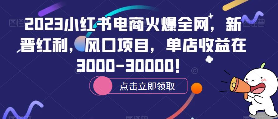 2023小红书电商火爆全网，新晋红利，风口项目，单店收益在3000-30000！-副业库