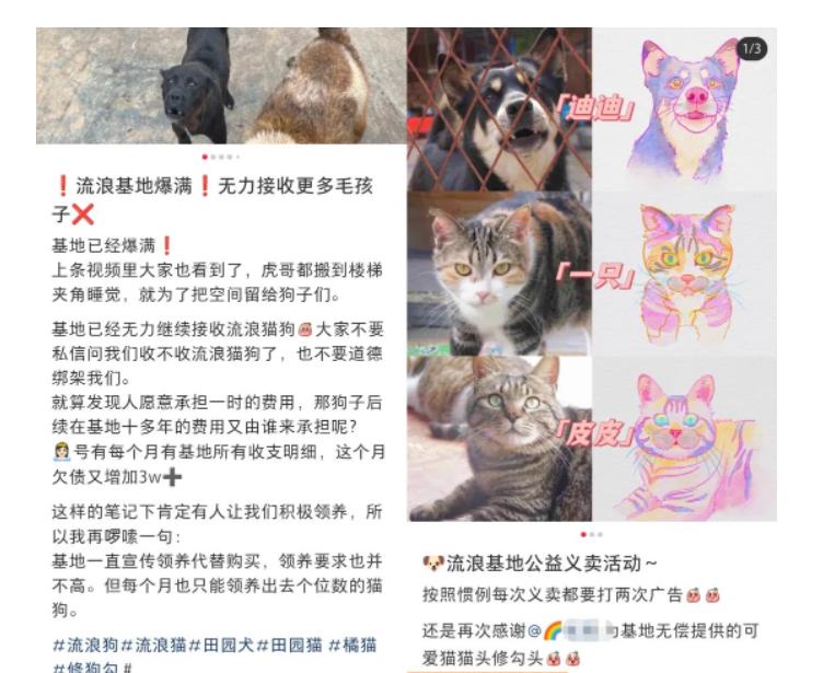 图片[2]-小红书蓝海类赛道：小动物打赏与购买变现副业项目，一条龙玩法分享给你！-副业库