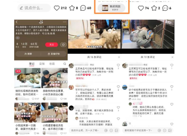 图片[3]-小红书蓝海类赛道：小动物打赏与购买变现副业项目，一条龙玩法分享给你！-副业库
