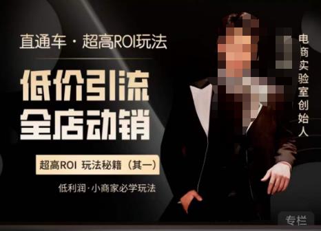 电商冰可乐·直通车·《低价引流·全店动销》，直通车·超高ROI玩法（其一）全店动销必学玩法-副业库