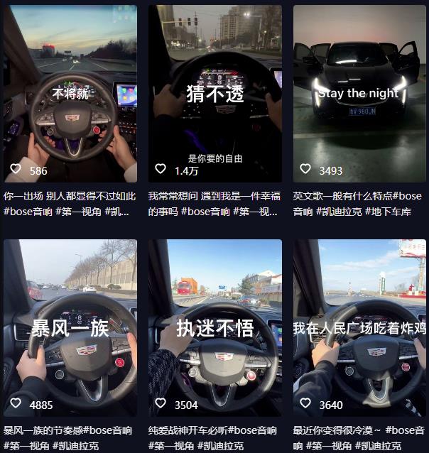 图片[2]-抖音开车视频项目，0基础操作，每天五分钟，月入1W+【揭秘】-副业库