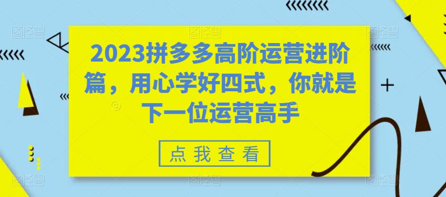 2023拼多多高阶运营进阶篇，用心学好四式，你就是下一位运营高手-副业库