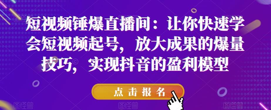 短视频锤爆直播间：让你快速学会短视频起号，放大成果的爆量技巧，实现抖音的盈利模型-副业库
