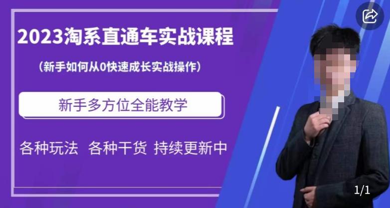 2023淘系直通车保姆式运营讲解，新手如何从0快速成长实战操作，新手多方位全能教学-副业库